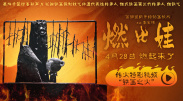 不卡的免费av
