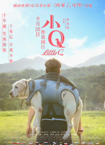 冬爱琴音个人简历