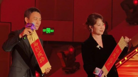 久久午夜激情