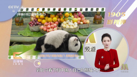 青草精品